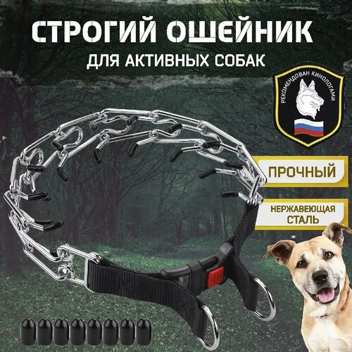 Строгий ошейник для активных собак из нержавеющей стали, до 50 см