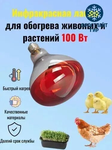 Лампа инфракрасная для обогрева цыплят, кур, свиней, растений и теплиц 100 Вт