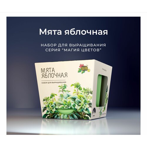 Набор для выращивания растений Мята яблочная семена