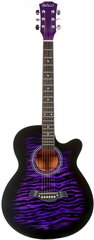 Акустическая гитара Belucci BC4030 VTS