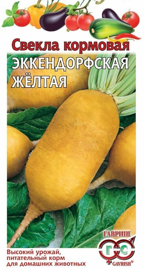 Семена. Свекла "Эккендорфская желтая кормовая" (вес: 100 г)