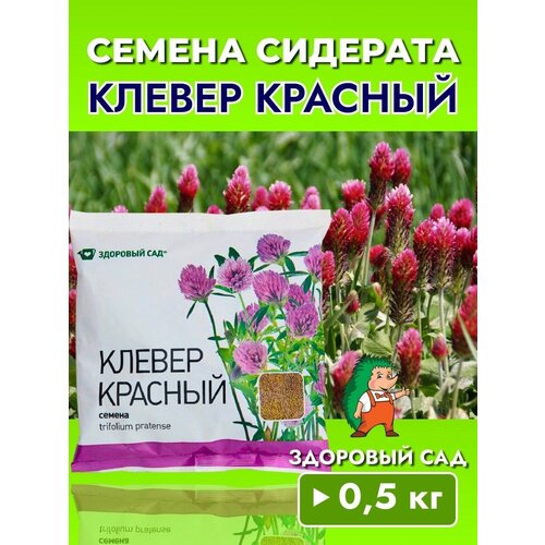 Сидерат Здоровый Сад Клевер красный, 500гр