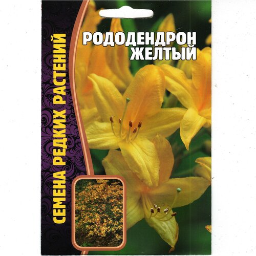 Азалия / Рододендрон жёлтый ( 1 уп: 25 семян ) рододендрон азалия narcissiflora р9