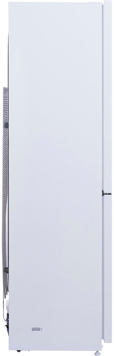 Холодильник Nesons NRB162NF WPB, белый - фотография № 6