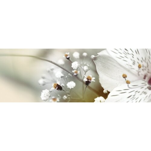 Dec Calido Dance B Декор 25х70