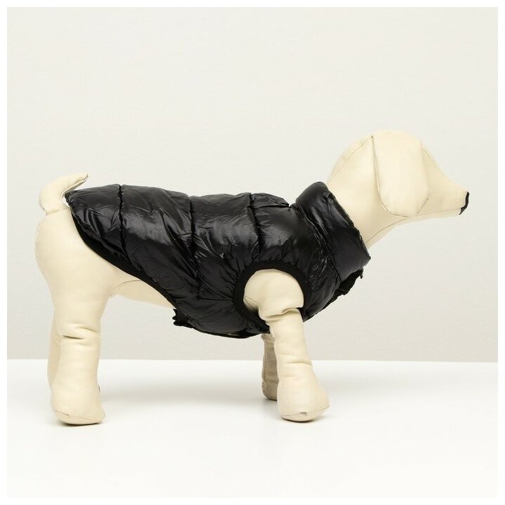 Куртка для собак двухсторонняя с принтом, размер 8 (ДС 23 см, ОГ 30, ОШ 22 см), чёрная - фотография № 2