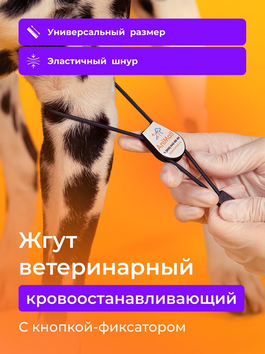 Ветеринарный инструмент Жгут кровоостанавливающий AniMall с фиксатором / Черный