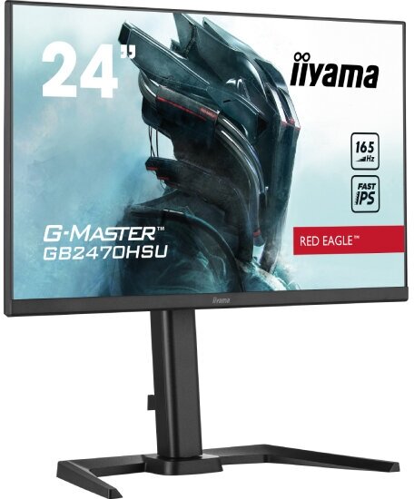 Монитор Iiyama G-Master GB2470HSU-B5