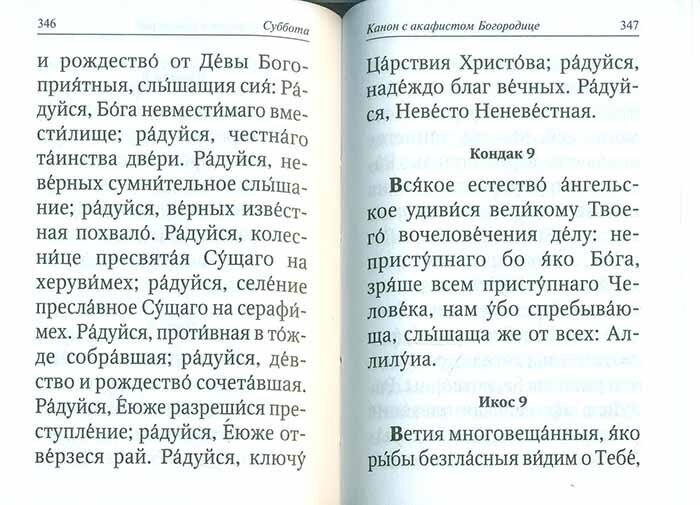 Каноны и акафисты на каждый день седмицы - фото №20