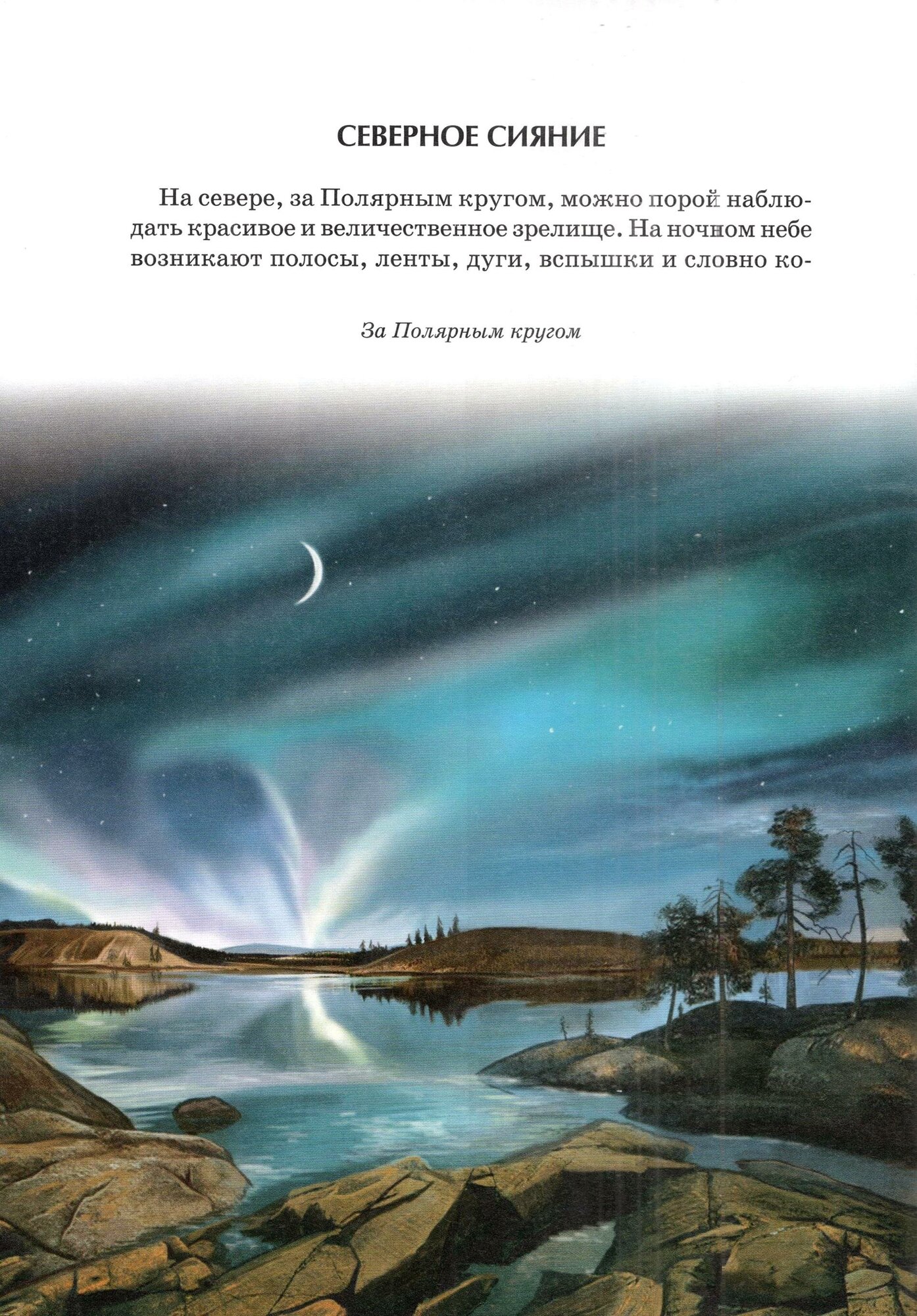 Чудеса природы (Солоделова Анна (иллюстратор), Афонькин Сергей Юрьевич) - фото №3