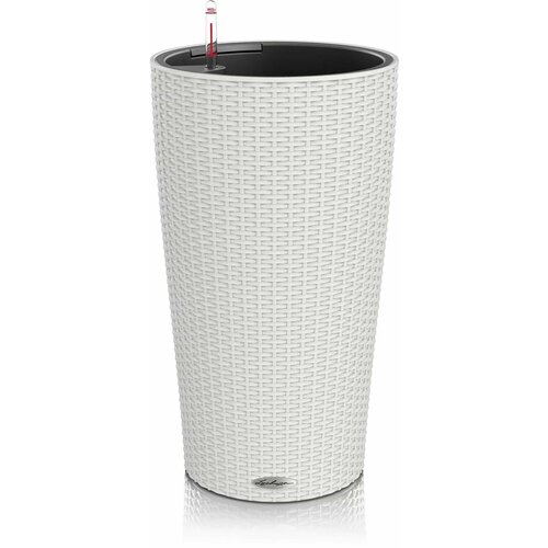 серый, белый