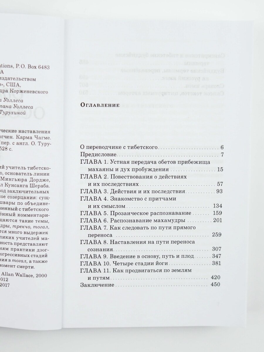 Обнаженное осознавание. Практические наставления по объединению махамудры и дзогчен - фото №6