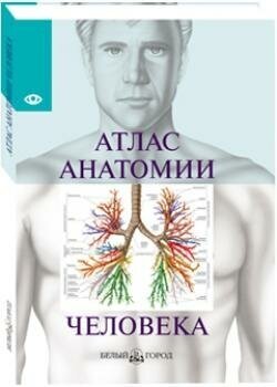 Серова В. Атлас анатомии человека. Энциклопедии и словари
