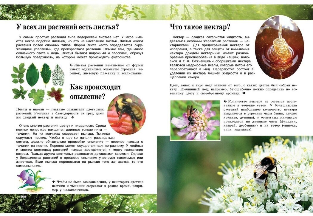 Почему так, а не иначе. Военное дело, растения, космос, животные. - фото №11