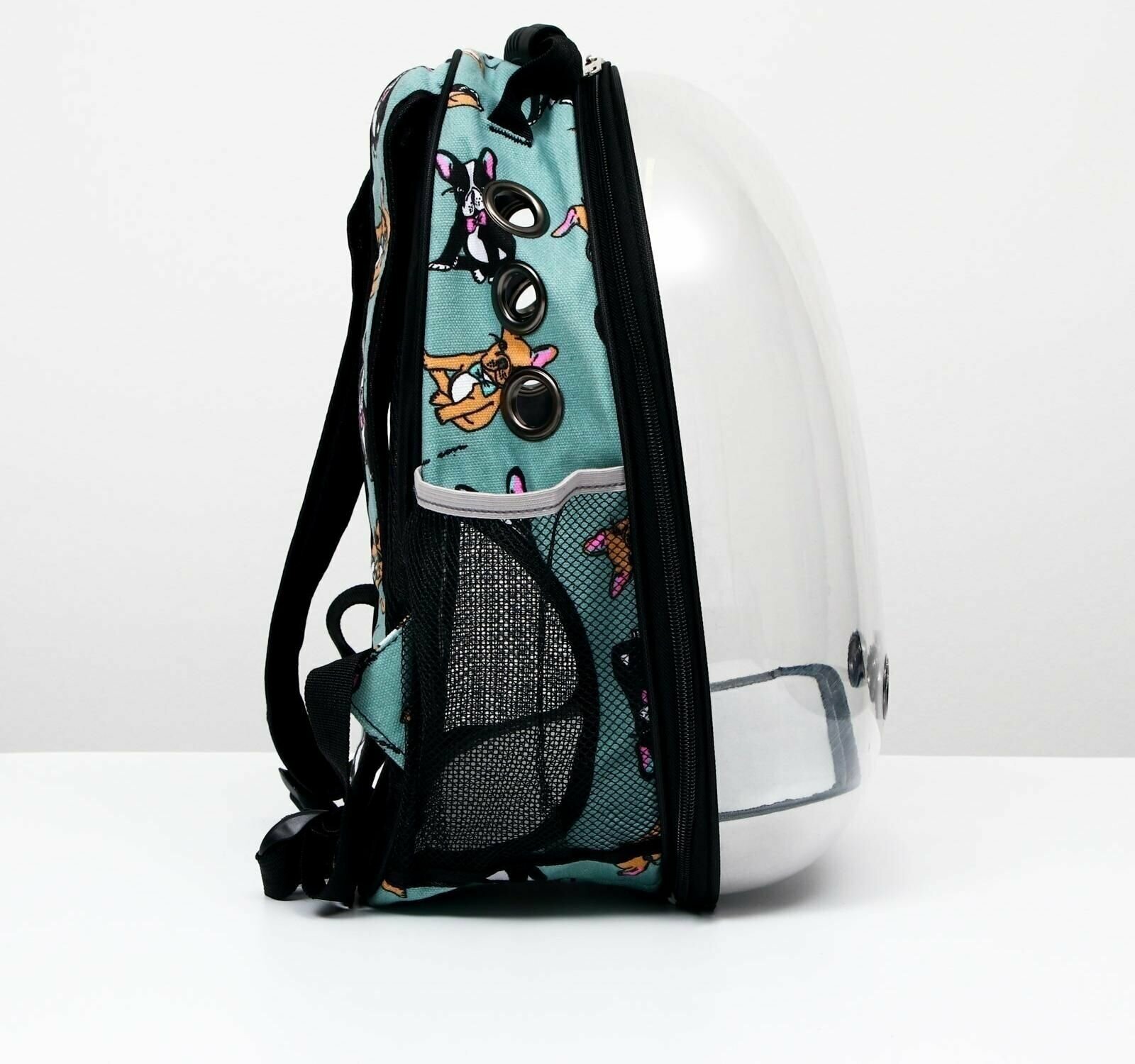 Рюкзак для переноски кошек и собак прозрачный «Силуэты», 31 х 28 х 42 см - фотография № 2