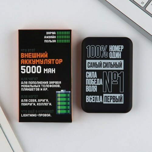 Зарядное устройство Самый сильный 5000мА мод PB-01 96 х 64 см 2198₽