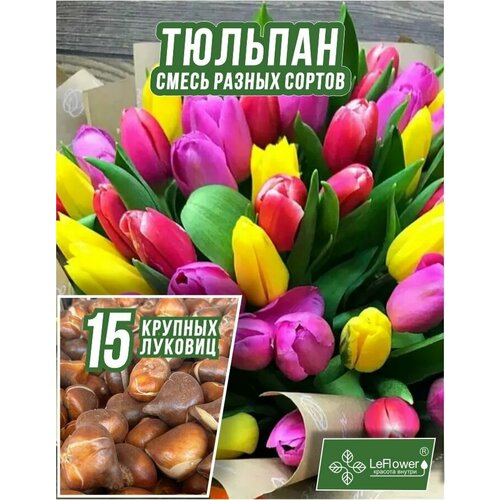 Тюльпан Луковица, Микс сортов 15 шт, крупные