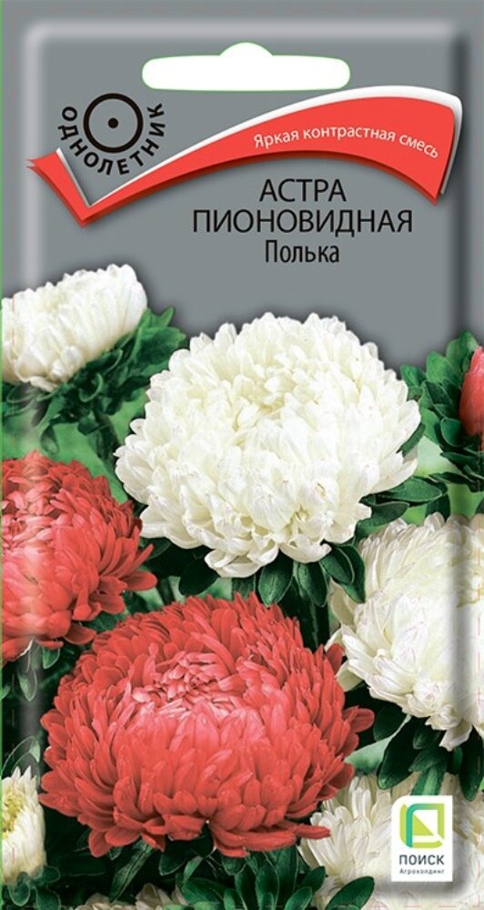 Астра Полька пионовидная 03г Одн смесь 70см (Поиск)