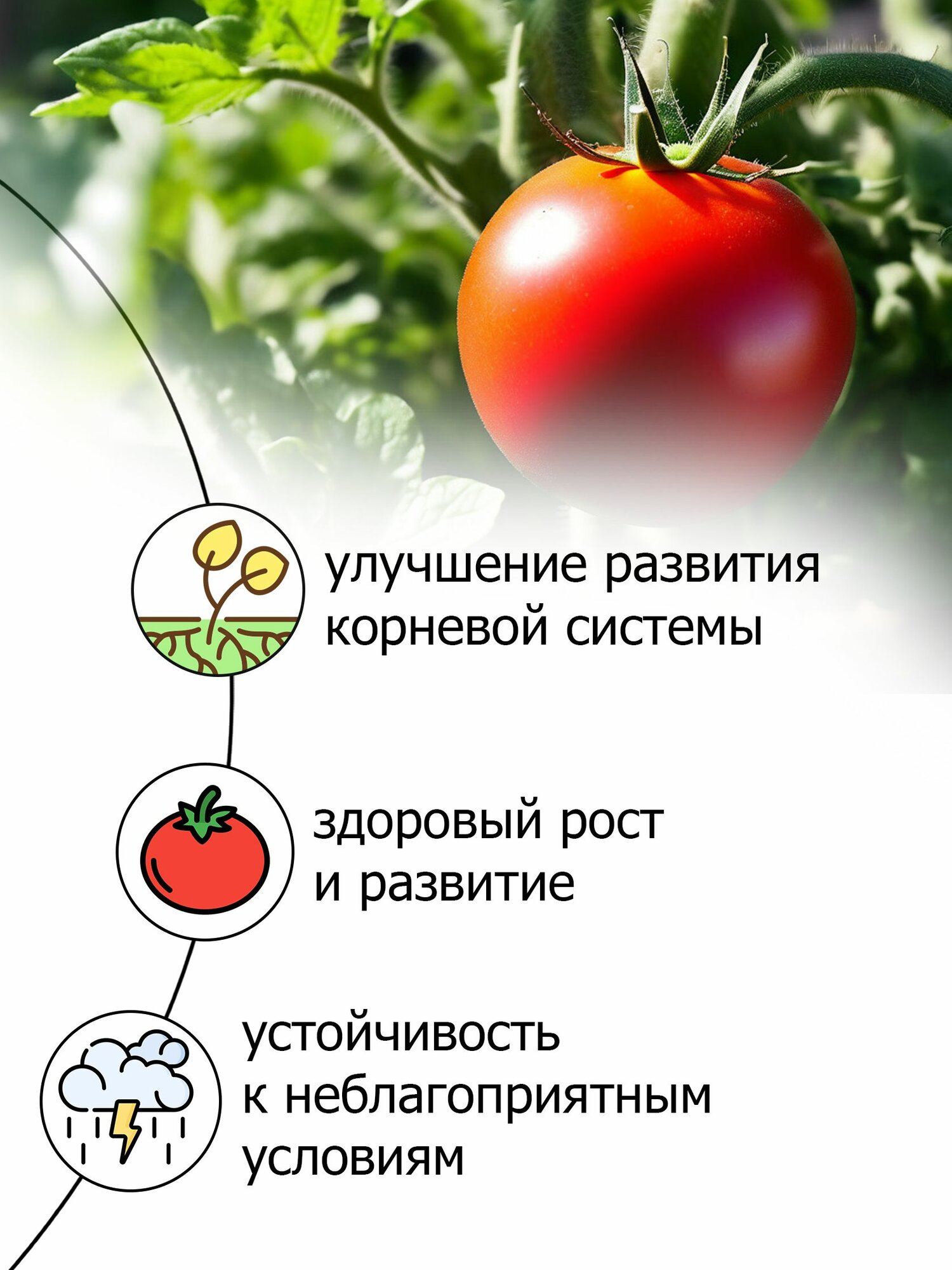 Изображение Концентрат Пуршат 500 мл для пышного роста и обильного урожая томатов, перцев и баклажан - экономичный расход
