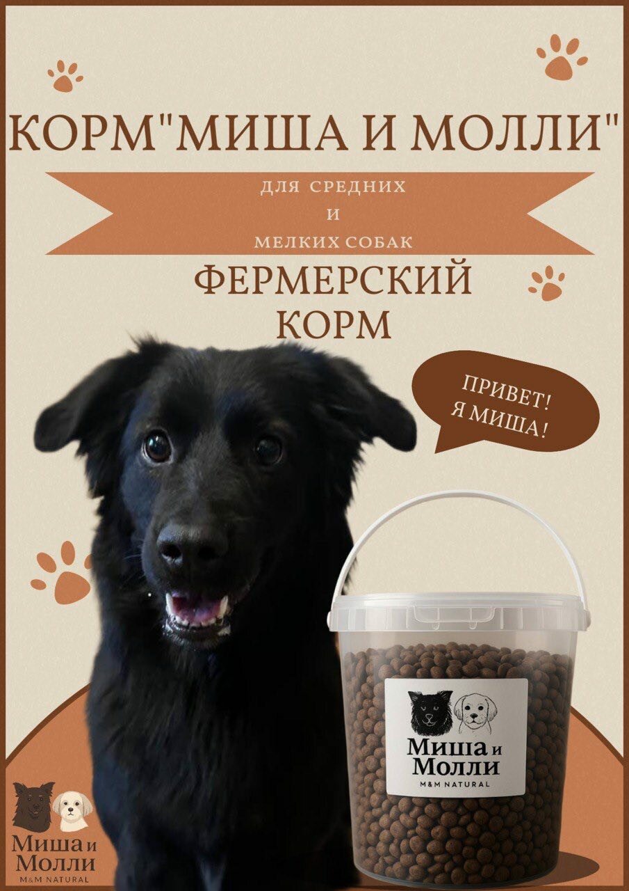 Фермерский корм Миша   Молли  холистик  для взрослых собак  мелких и средних пород