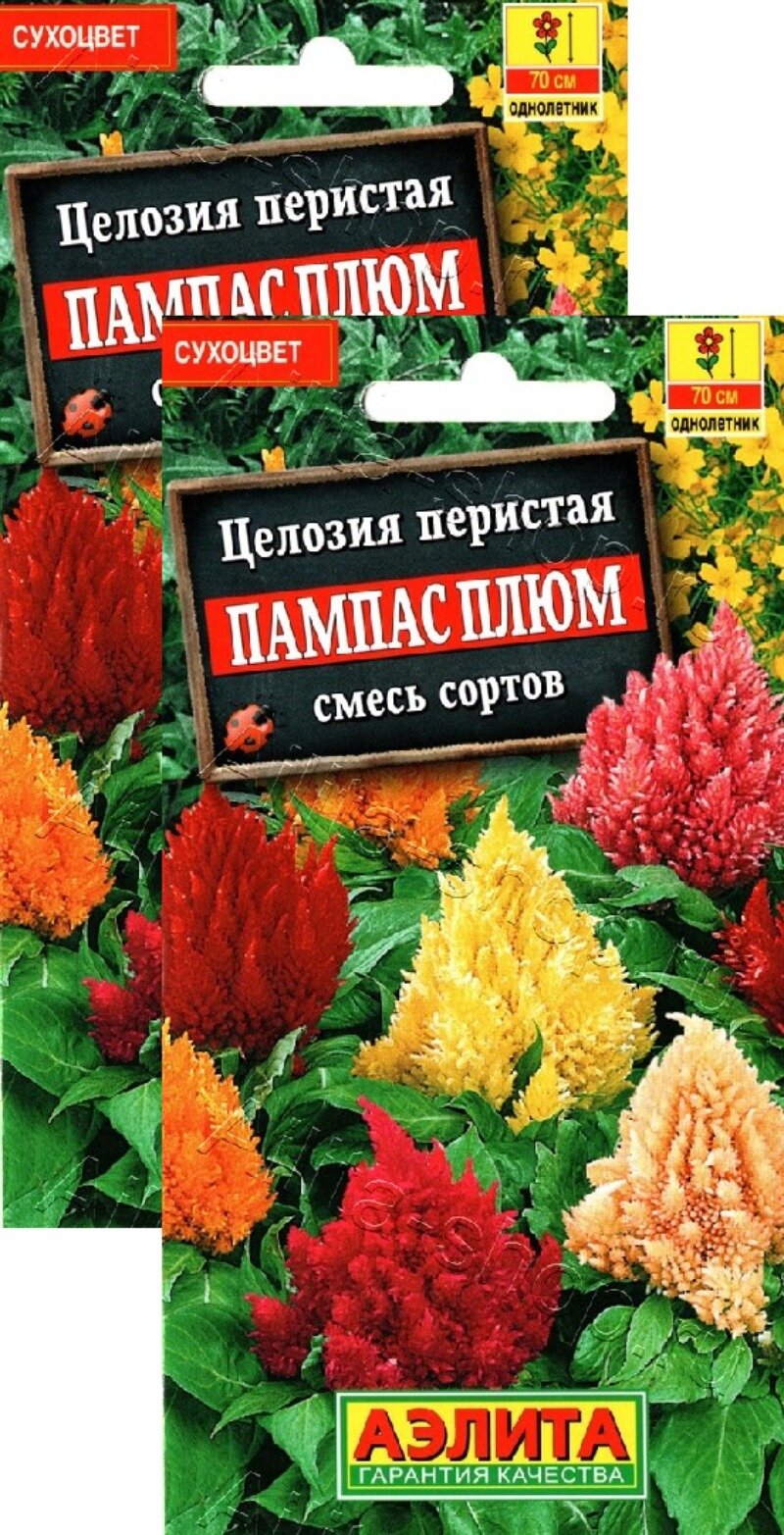 Целозия перистая Пампас Плюм смесь сортов (03 г) 2 пакета