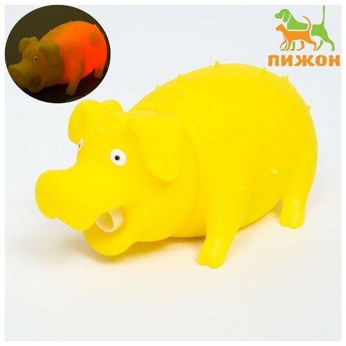 Пижон Игрушка пищащая Весёлая свинья для собак, хрюкающая, 19 см, жёлтая