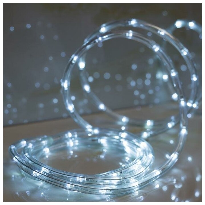 LED шнур 10 мм, круглый, 20 м, чейзинг, 2W-LED/м-24-220V, с контр. 8р, Белый Luazon Lighting 1589832 - фотография № 10