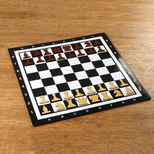 Демонстрационные шахматы Sima-land на магнитной доске, 60х60 см (4870420)