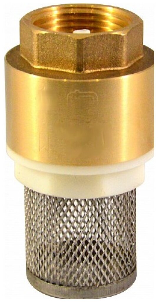 Обратный клапан с сеткой 3/4" CTM CBCVF034