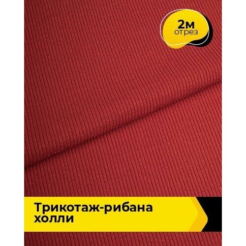 Ткань для шитья и рукоделия Трикотаж-рибана Холли 2 м * 150 см, красный 001 ткань для шитья и рукоделия трикотаж рибана холли 2 м 150 см лиловый 007