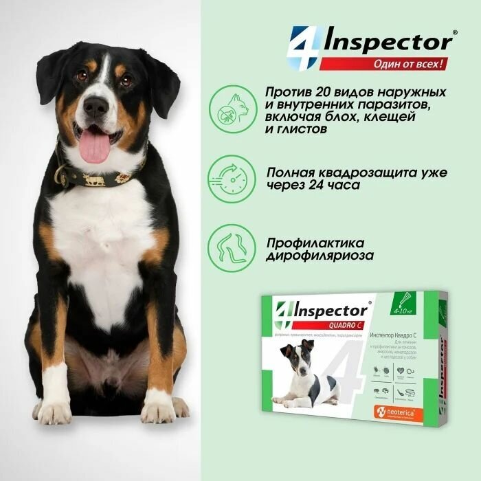 Inspector раствор от блох и клещей Quadro С для собак и кошек 1 шт. в уп., 1 уп.