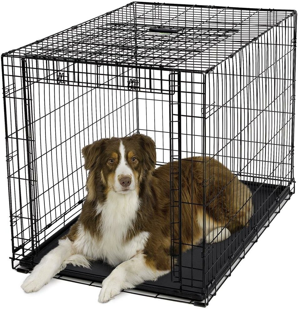 MidWest Клетка для собак Ovation с торцевой вертикально-откидной дверью,черный,79*49*55см - фото №20