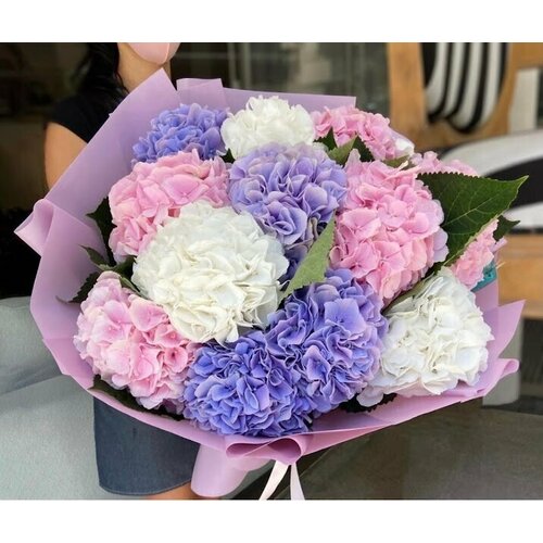 Букет Гортензия ассорти, красивый букет цветов, шикарный, цветы премиум.
