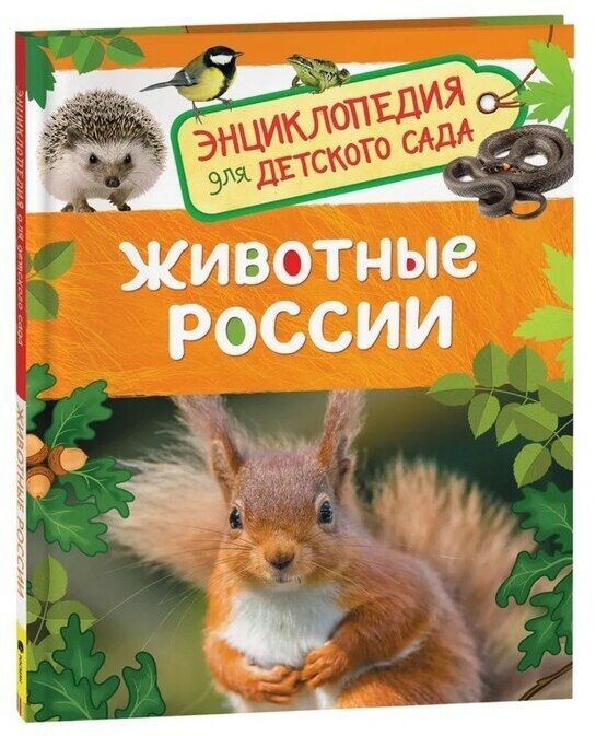 Росмэн Энциклопедия для детского сада «Животные России»