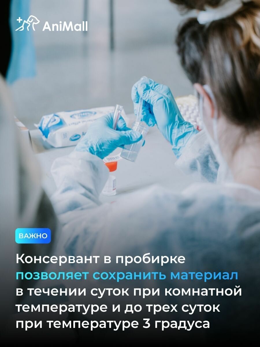 Набор для сбора мочи (с консервантом STABILUR) для животных — фото 1