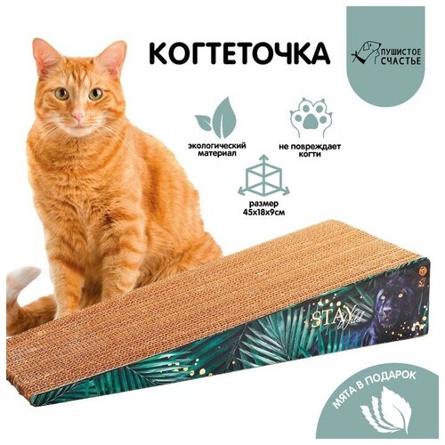 Когтеточка из картона с кошачьей мятой Stay wild, треугольная, 45 × 18 × 9 см