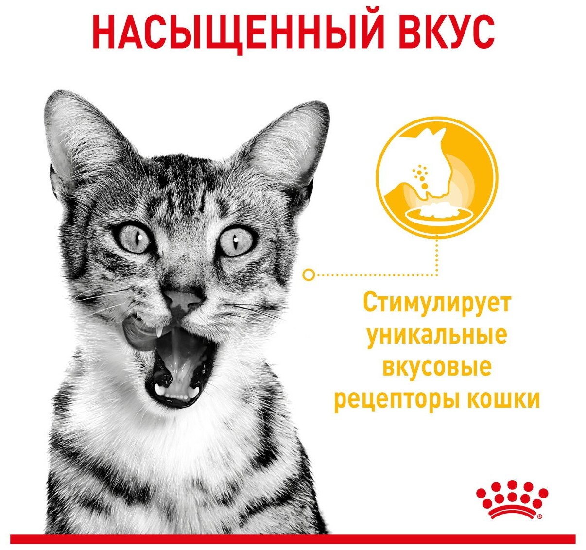 Влажный корм для кошек Royal Canin Sensory Taste стимулирующий вкусовые рецепторы 12 шт. х 85 г (кусочки в соусе) - фотография № 10