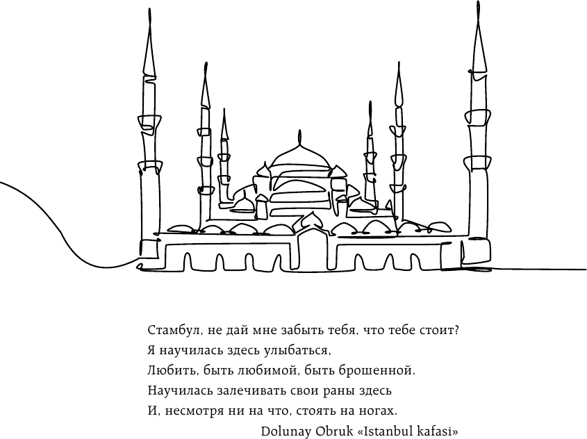 Турция изнутри. Как на самом деле живут в стране контрастов на стыке религий и культур? (дополненное издание) - фото №8