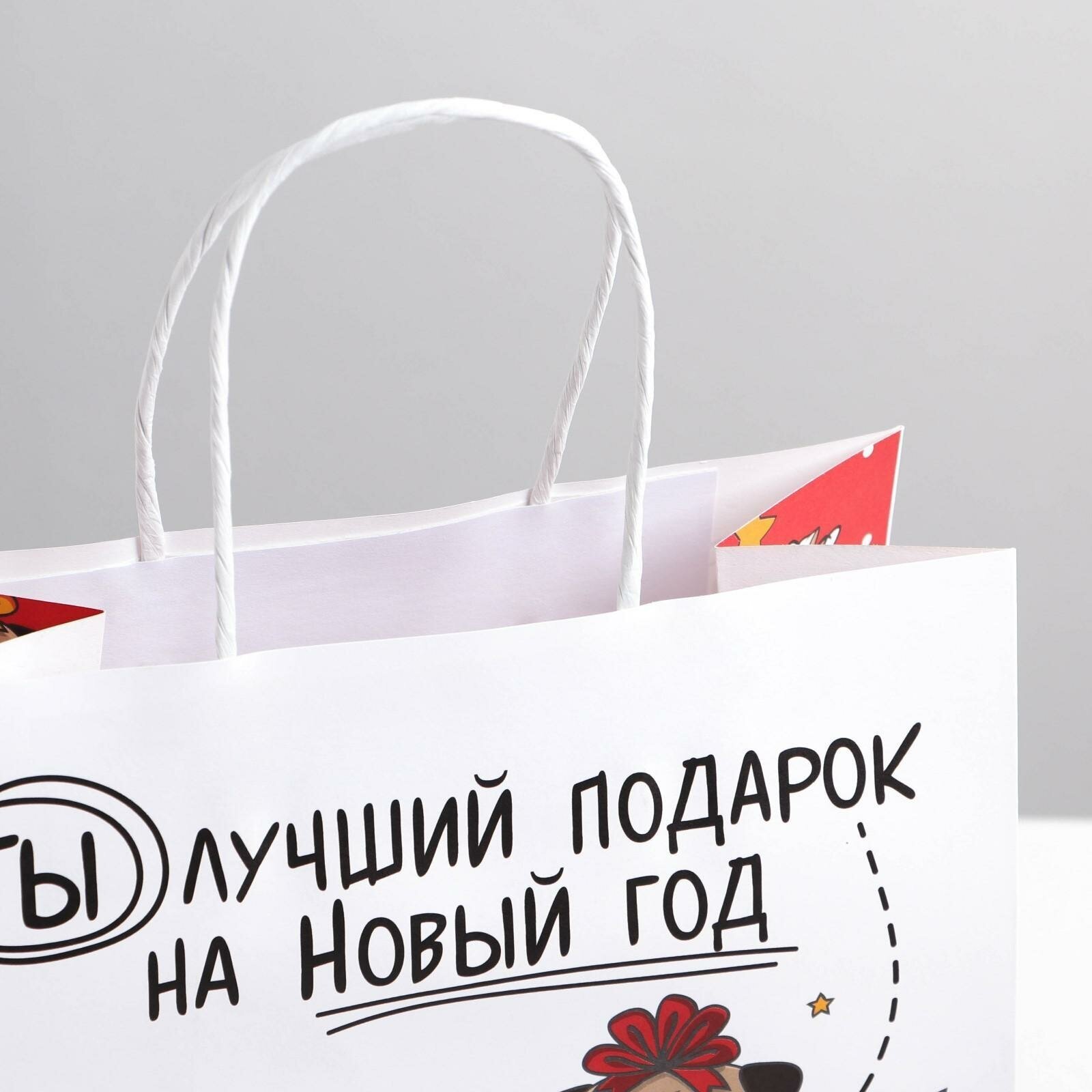 Подарочный пакет «Ты - лучший подарок», 22 х 22 х 11 см, крафт, для упаковки подарка на Новый год — фото 1
