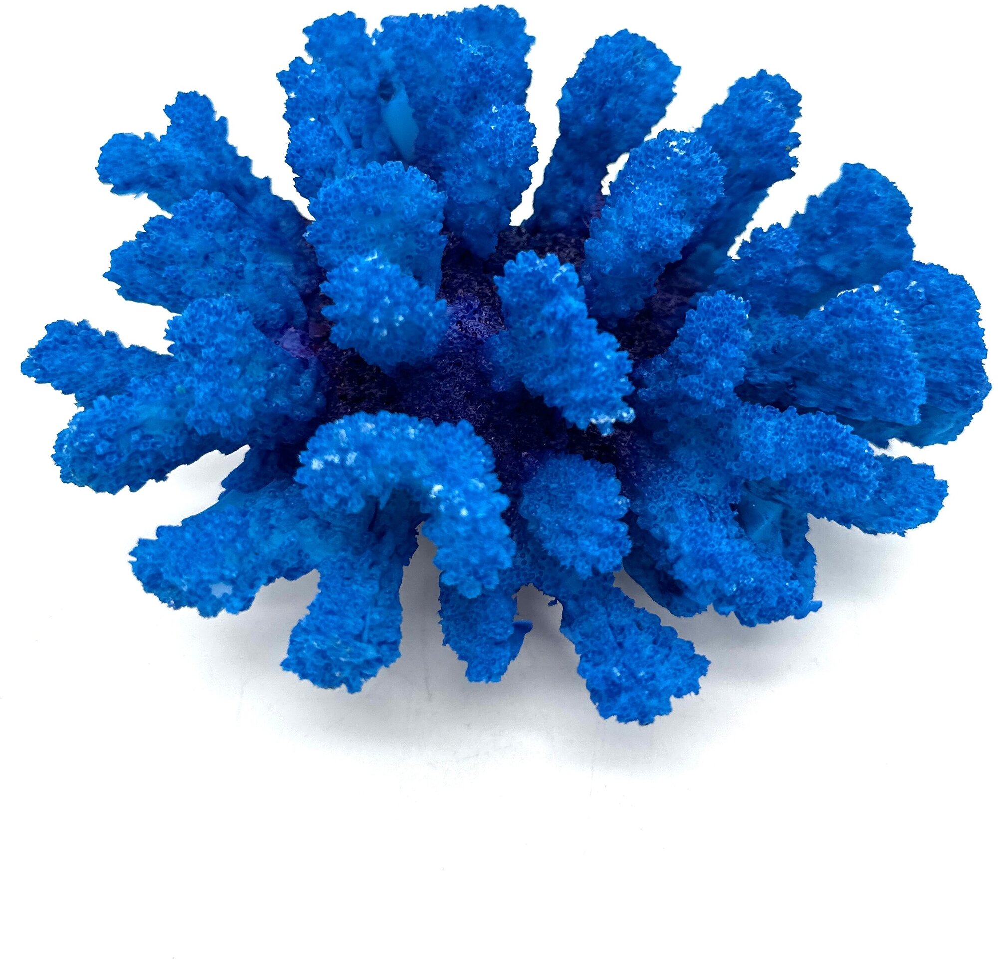 Коралл искусственный синий - фотография № 1