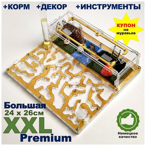 Большая муравьиная ферма XXL Premium 24*26см Полный комплект Песок