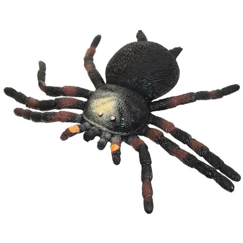 фото Фигурка abtoys юный натуралист: пауки, черный с желто-голубым рисунком, резиновая (pt-01747)