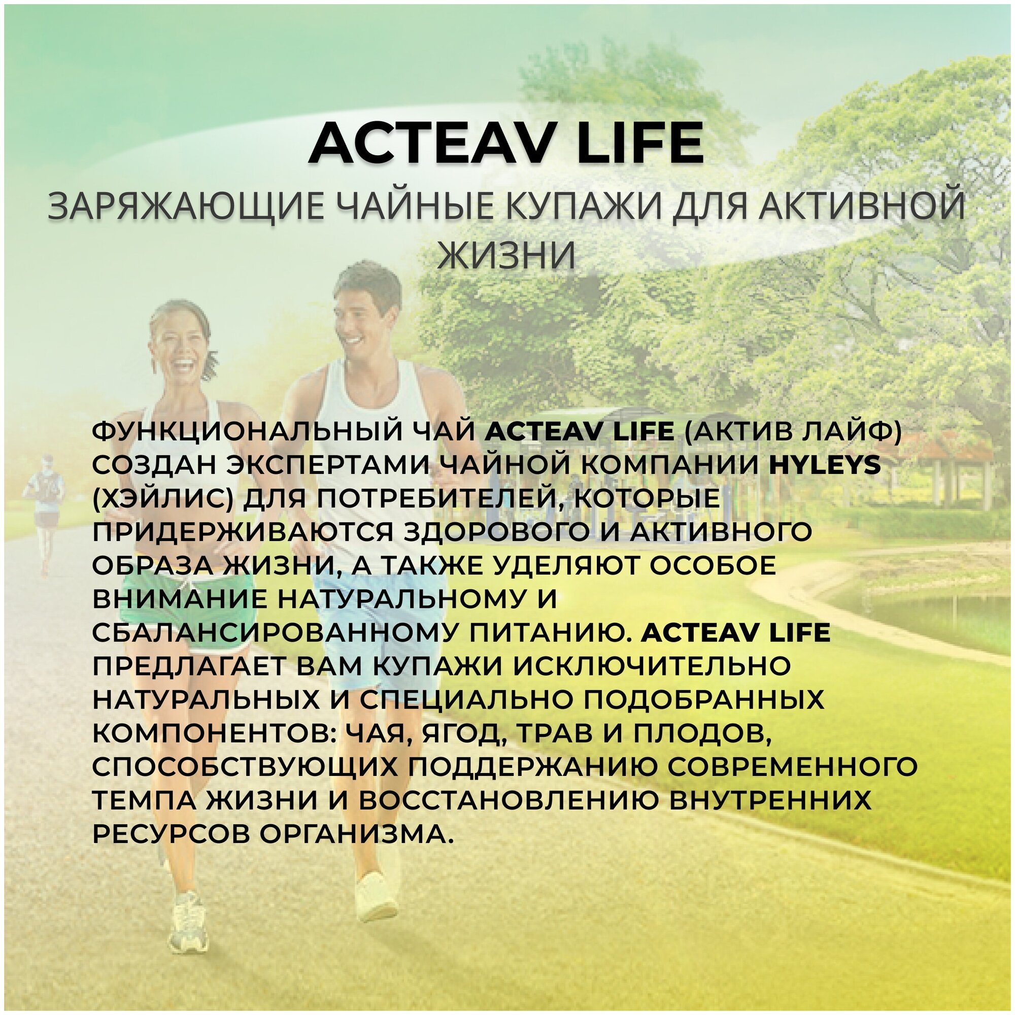 Чай ACTEAV LIFE иммунитет 25 пак (фольгированные конвертики) - фотография № 4