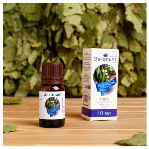 Эфирное масло Эвкалипт натуральное