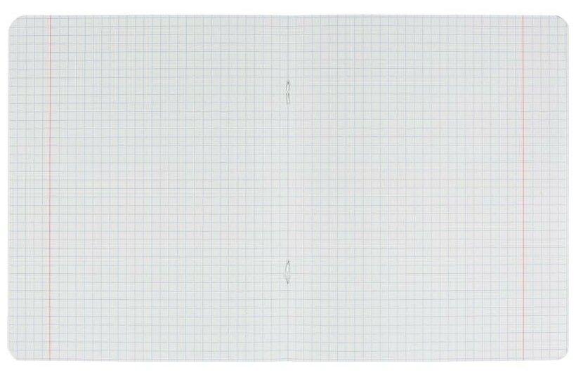 Набор тетрадей №1 School Отличник А5 клетка зеленая 18 листов 10шт Хатбер-М - фото №12