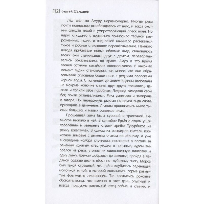 Зимовьё на Гилюе Повесть (Шаманов Сергей Артурович) - фото №14