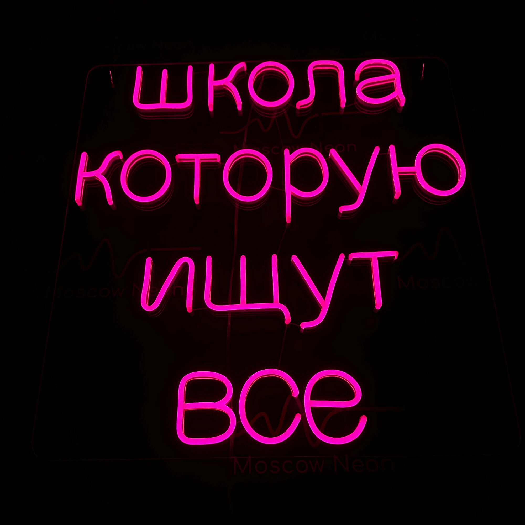 Неоновая вывеска для бизнеса с надписью "Школа которую ищут все", 50 х 53 см. / светильник из гибкого неона - фотография № 3