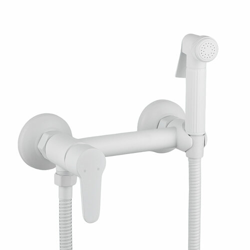 Смеситель с гигиеническим душем для биде с пружинным шлангом, белый