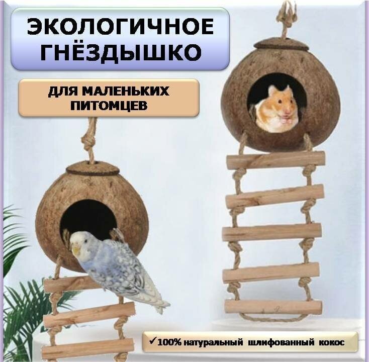 Подвесной домик для грызунов, мелких птиц и рептилий из натурального кокоса