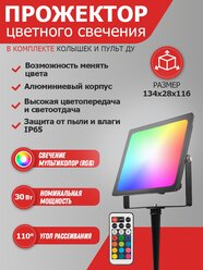 Прожектор светодиодный REXANT 605-012 + опора на грунте, 30 Вт, свет: RGB